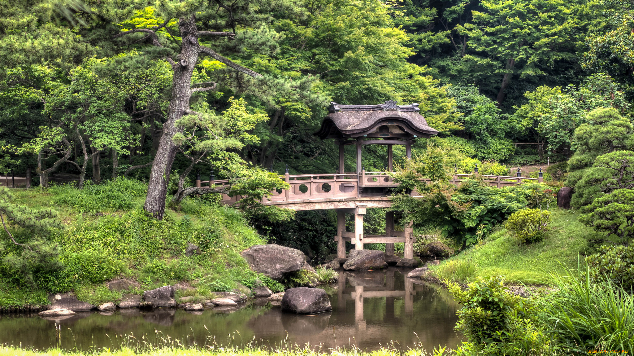 Ботанический сад Киото пруд